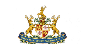Prince's Trust Success Award — Gold Winner