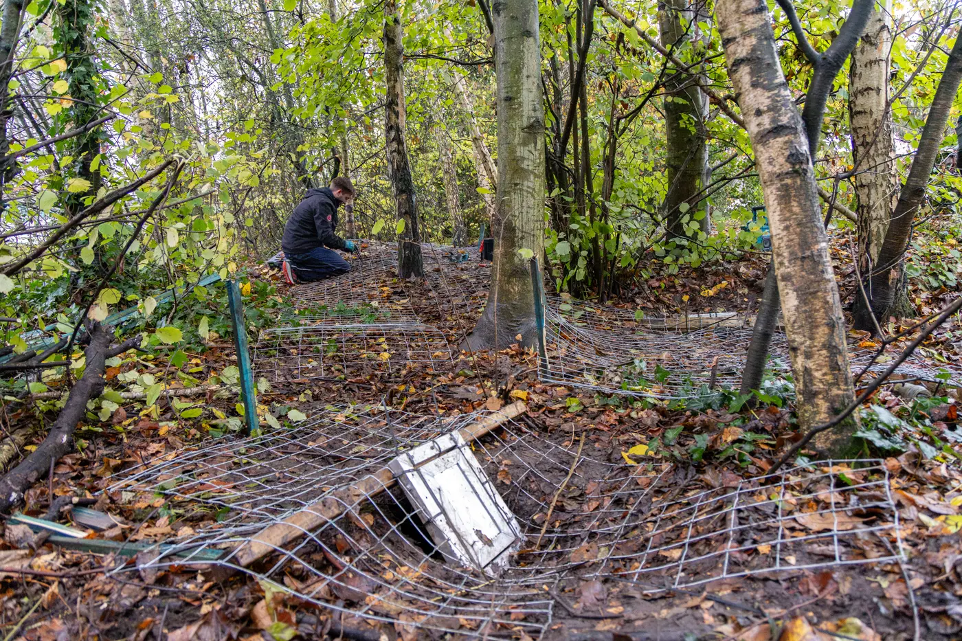 Crown & Burrow ecologist surveying a badger sett
