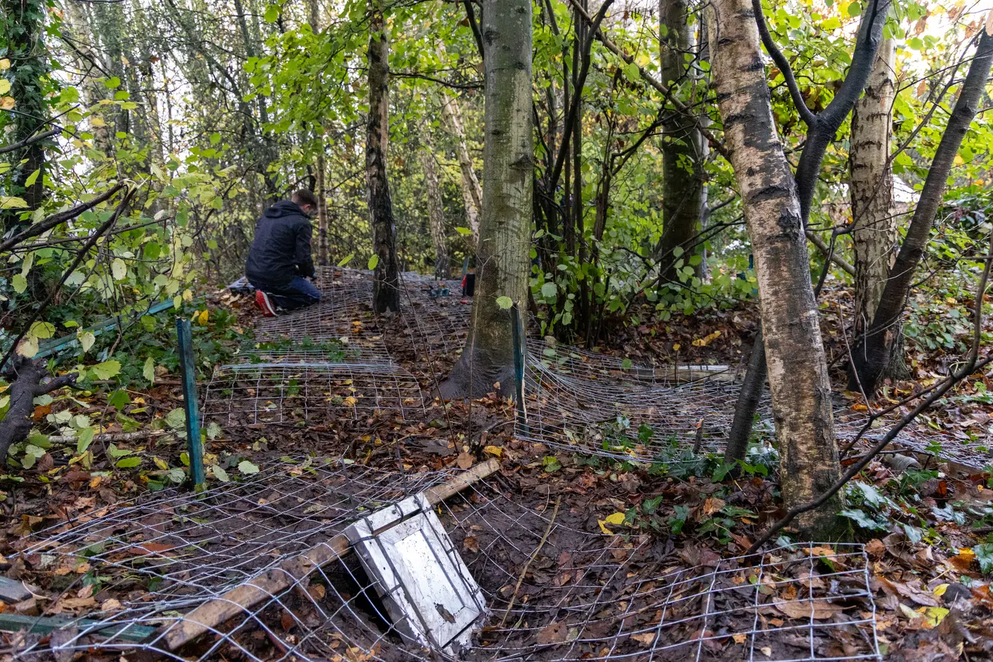 Stainless-steel badger exclusion mesh and gate