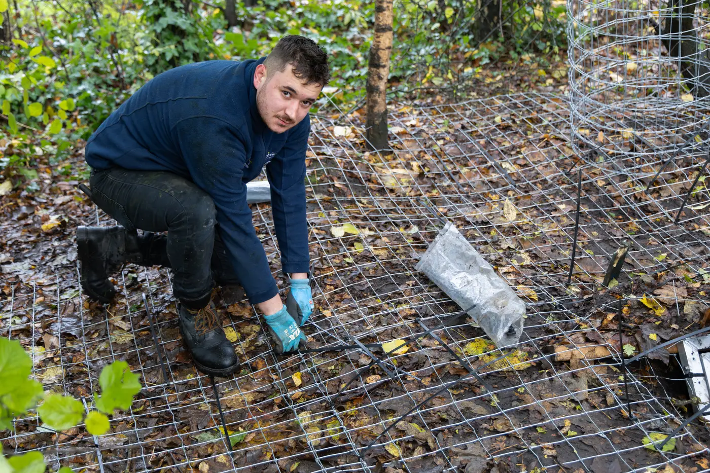 Crown & Burrow team carrying out badger mitigation works