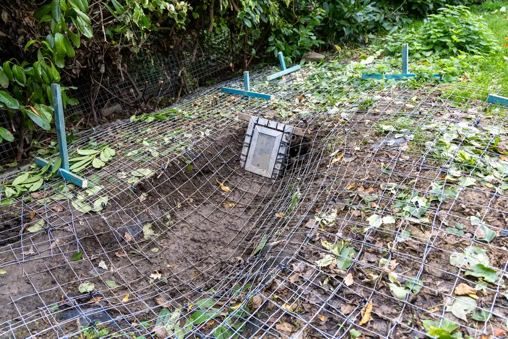 Stainless-steel mesh badger-proofing at the end of a residential garden
